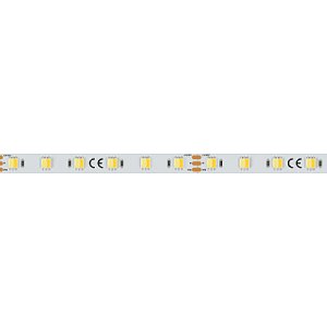 Светодиодная лента RT-B60-10mm 24V White-MIX 2Ch (14.4 W/m, IP20, 5060, 5m) (Arlight, Изменяемая ЦТ)