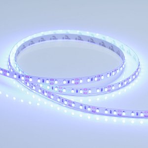 Светодиодная лента RT-A120-8mm 12V Blue (9.6 W/m, IP20, 2835, 5m) (Arlight, 9.6 Вт/м, IP20)