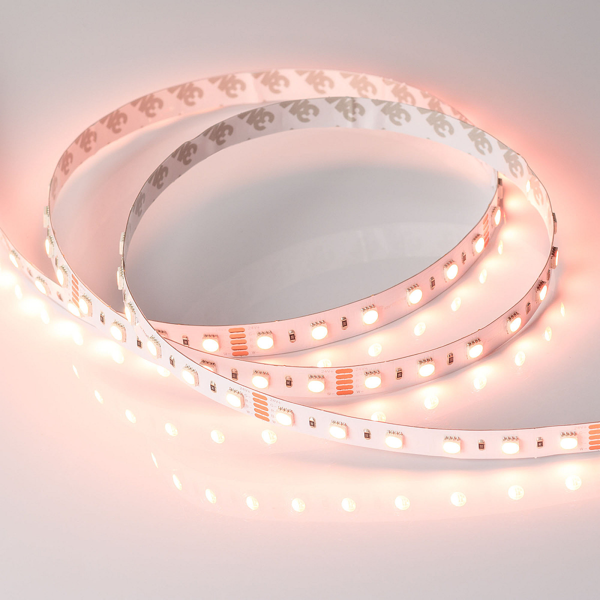 019151_ledlenta